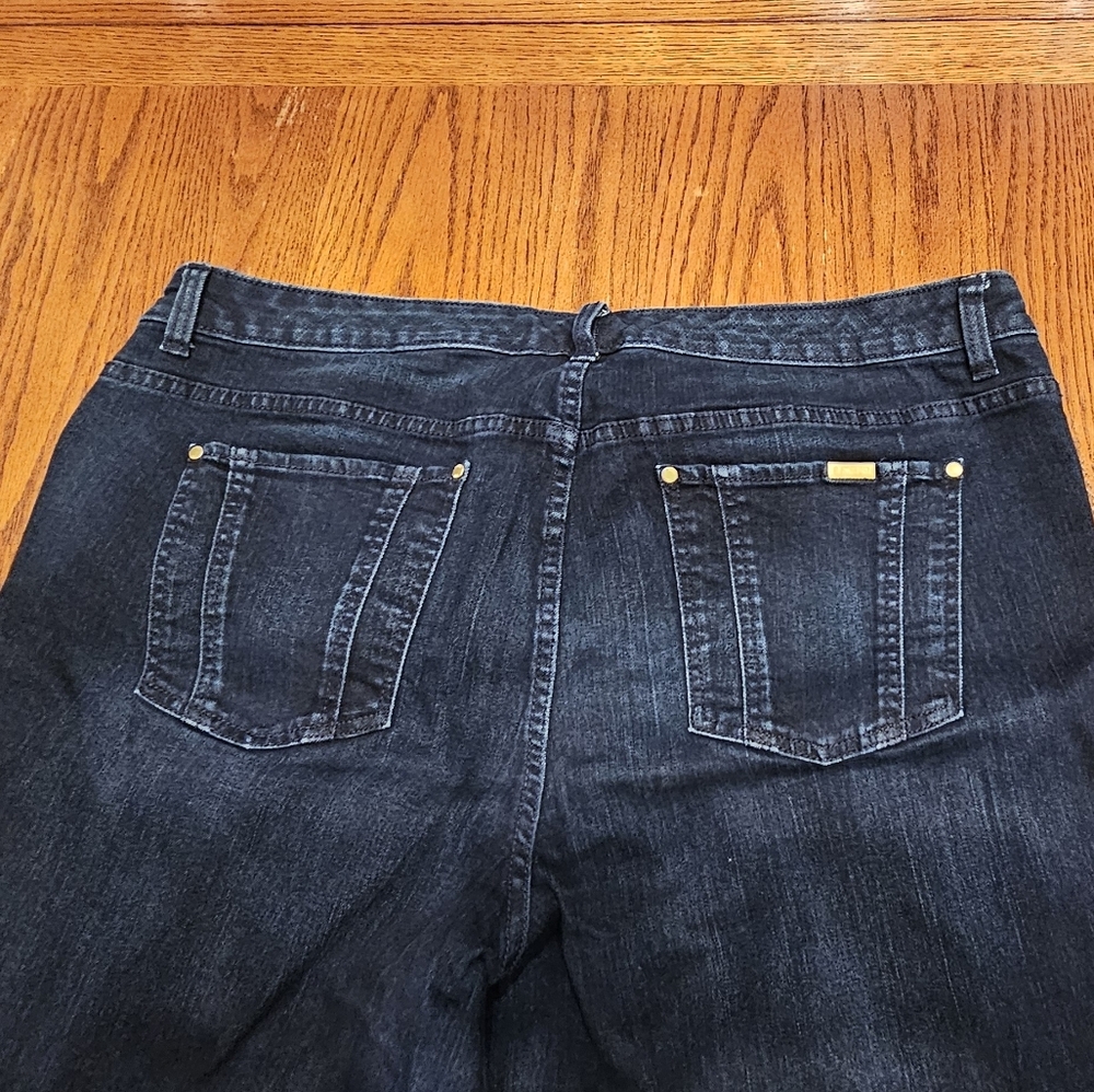 Jennifer Lopez Dark Denim Jeans with Gold Accents 18W Short - Picture 5 of 6